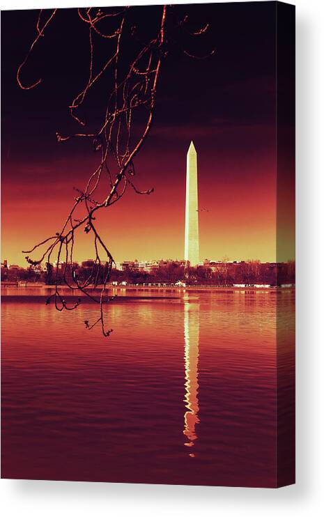 Washington Canvas Print featuring the photograph Line Up by Iryna Goodall