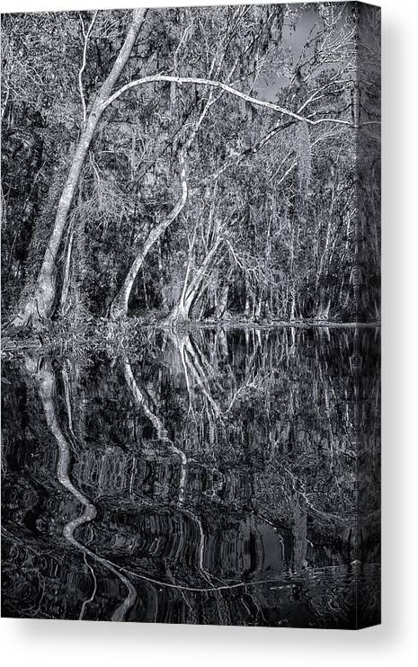 Sherry Day Canvas Print featuring the photograph Liquid Silver by Ghostwinds Photography