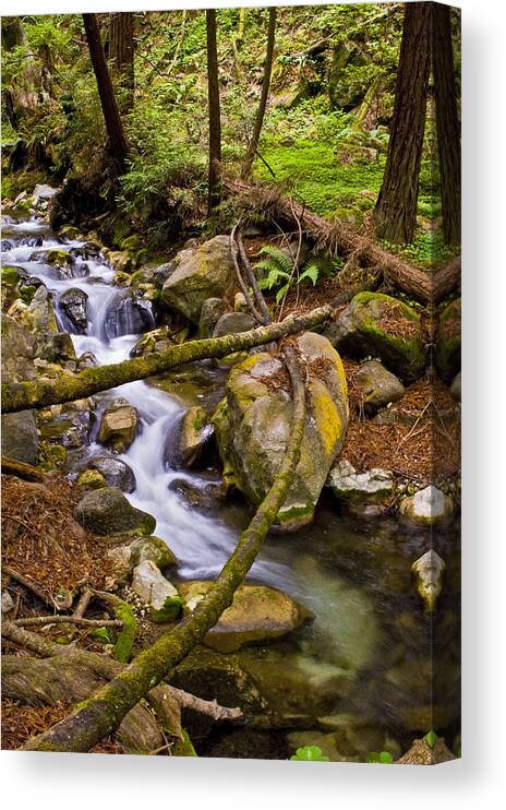Creek Canvas Print featuring the photograph Little creek by Gary Brandes