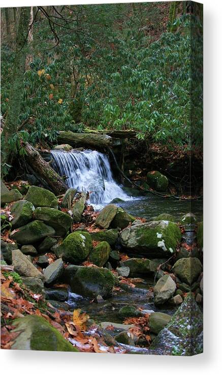 Photo For Sale Canvas Print featuring the photograph Little Falls by Robert Wilder Jr