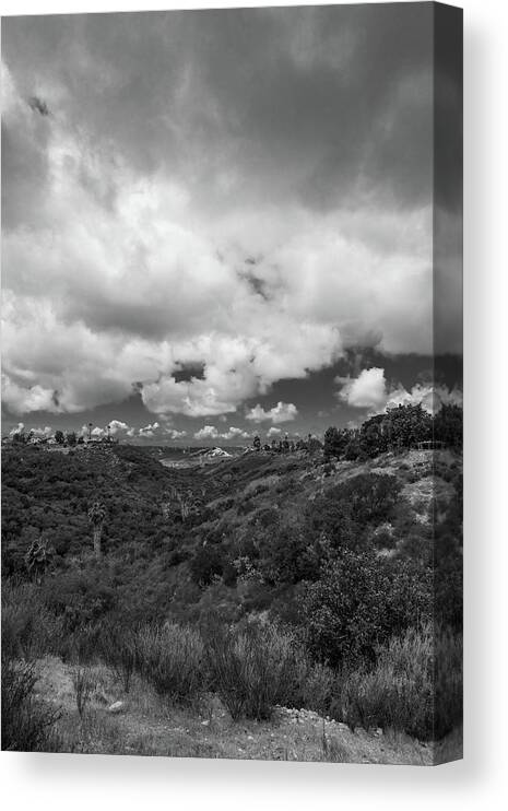California Canvas Print featuring the photograph Little Palm Canyon by TM Schultze