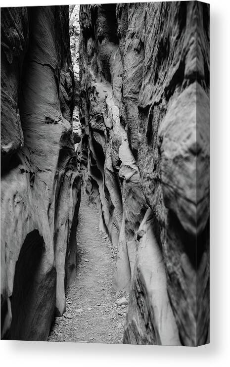Little Canvas Print featuring the photograph Little Wild Horse Canyon bw by Jennifer Ancker