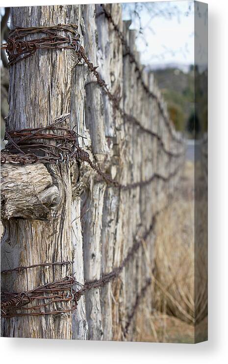 Fence Canvas Print featuring the photograph Log And Wire Fence by Phyllis Denton
