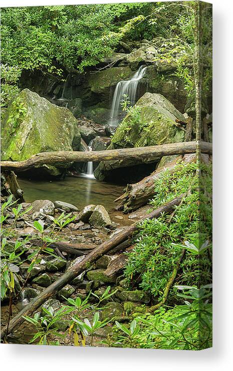Smoky Mountains National Park Canvas Print featuring the photograph Log Crossing by Jeffrey Ewig