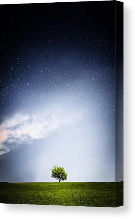 Autumn Canvas Print featuring the photograph Lone by Bess Hamiti