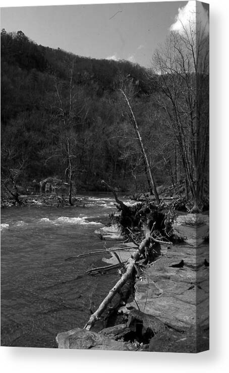  Canvas Print featuring the photograph Long-pool-log-jam by Curtis J Neeley Jr