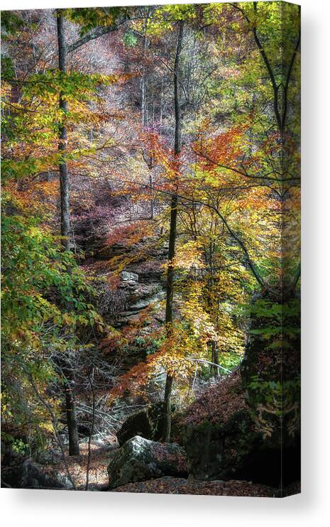 Lost Valley Canvas Print featuring the photograph Lost Valley by James Barber