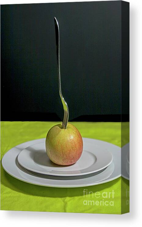 Meal Canvas Print featuring the photograph Low calorie meal by Patricia Hofmeester