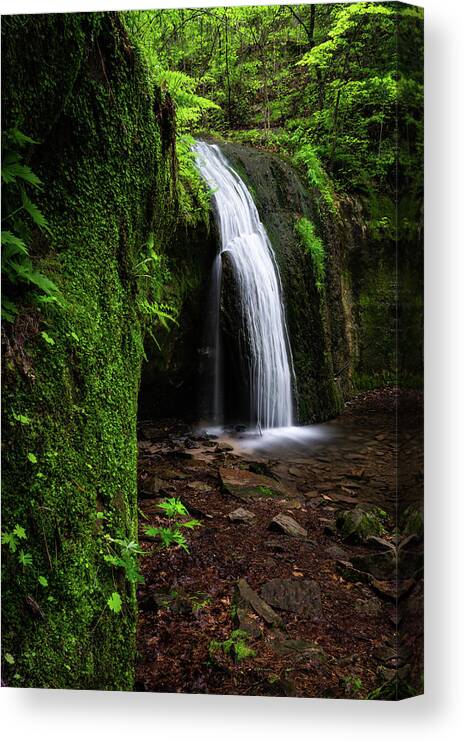 Waterfall Canvas Print featuring the photograph Lush by Brad Bellisle