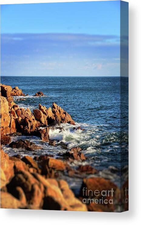 Bass Harbor Canvas Print featuring the photograph Maine's Rocky Coast by Elizabeth Dow