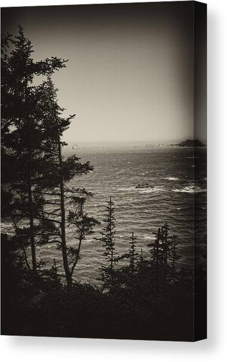 Brookings Canvas Print featuring the photograph Marine Pine by Hugh Smith