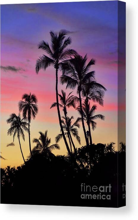 Maui Canvas Print featuring the photograph Maui Palm Tree Silhouettes by Eddie Yerkish