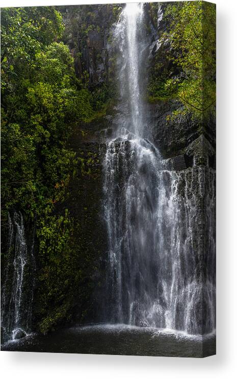 Maui Canvas Print featuring the photograph Maui Waterfall by Chuck Jason