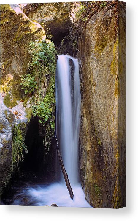 Water Falls Canvas Print featuring the photograph McWay Creek Falls 2 by Gary Brandes