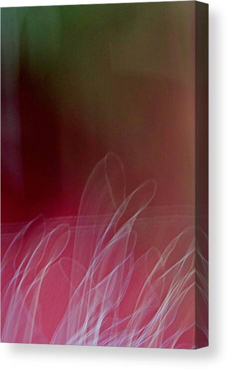 Abstract Canvas Print featuring the photograph Memories of a Garden by Denise Clark