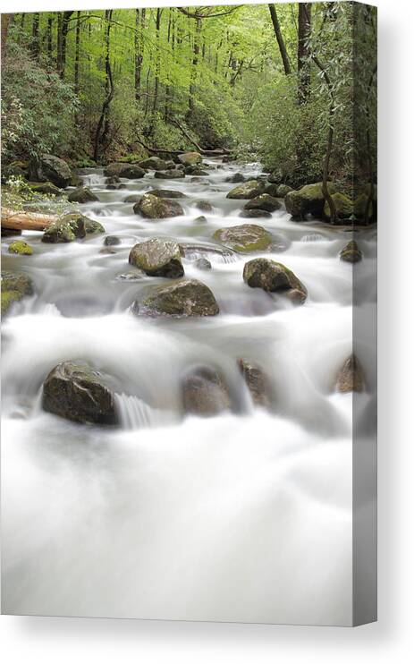 Jones Gap State Park Canvas Print featuring the photograph Middle Saluda River by Blaine Owens