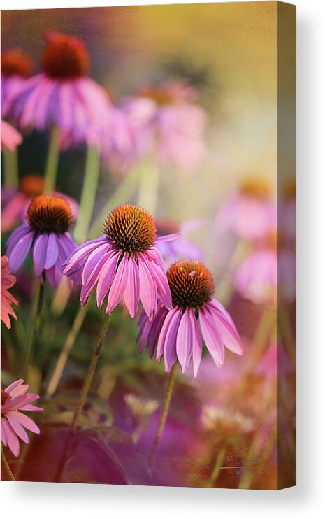 Summer Canvas Print featuring the photograph Midsummer Dreams by Theresa Campbell