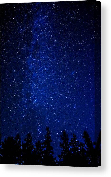 Deep Canvas Print featuring the photograph Milky Way and Trees by Pelo Blanco Photo