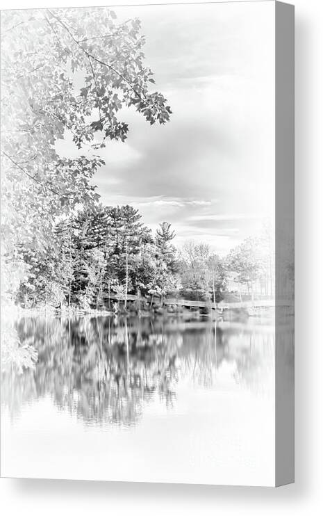 Mine Falls Park Canvas Print featuring the photograph Minimalist Fall Scene in Black and White by Anita Pollak
