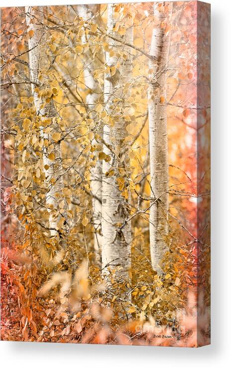 Country Canvas Print featuring the photograph Misted by Beve Brown-Clark Photography