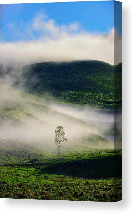 Yellowstone Canvas Print featuring the photograph Misty Morning by Greg Norrell