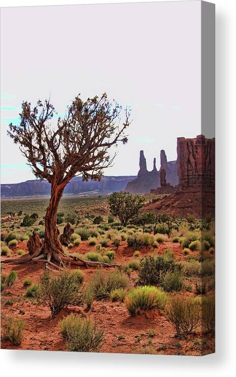 West Mitten Canvas Print featuring the photograph Monument Valley 24 - Three Sisters # 2 by Allen Beatty