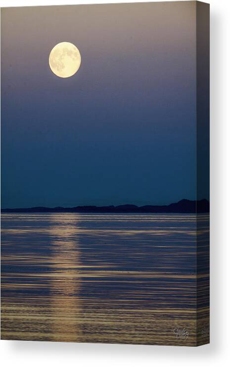 Landscapes Canvas Print featuring the photograph Moon Over Water by Claude Dalley