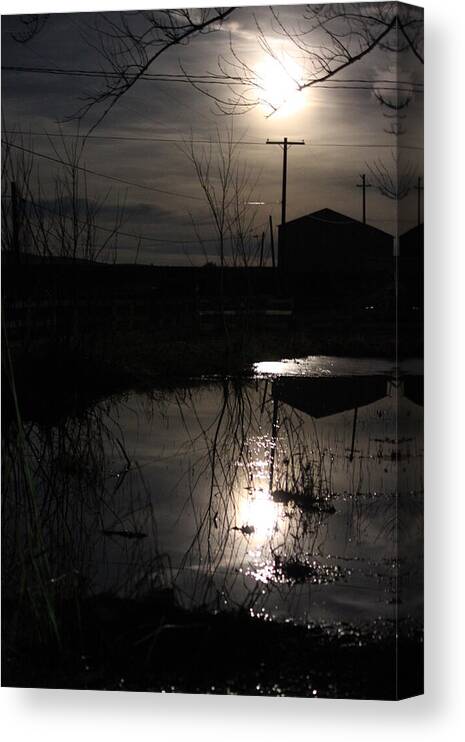 Moon Canvas Print featuring the photograph Moonlight and silhouettes by Jean Evans