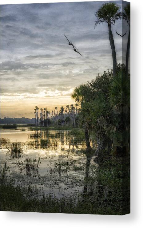 Crystal Yingling Canvas Print featuring the photograph Morning Fly-by by Ghostwinds Photography