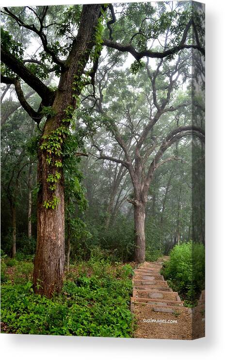 Garvin Heights Steps Canvas Print featuring the photograph Morning Steps by Susie Loechler
