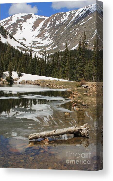 Nature Canvas Print featuring the photograph Mountain Magic by Tonya Hance