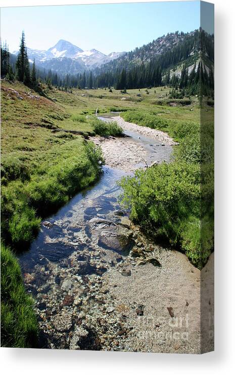 Wilderness Canvas Print featuring the photograph Mountain Meadow and Stream by Quin Sweetman