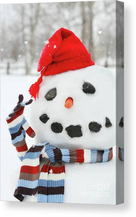 Background Canvas Print featuring the photograph Mr. Snowman by Sandra Cunningham