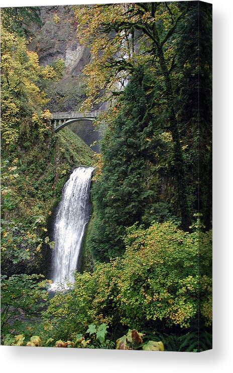 Multnomah Canvas Print featuring the photograph Multnomah Falls 3 by DArcy Evans