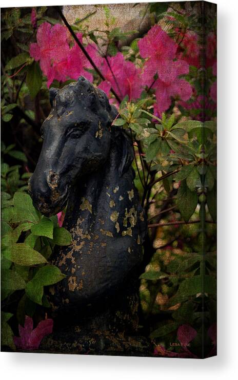 Horse Canvas Print featuring the photograph Murphy Medallion House Gatekeeper by Lesa Fine