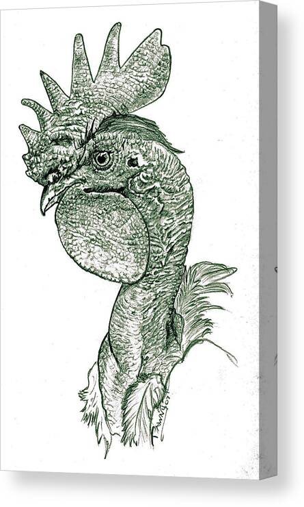 Rooster Canvas Print featuring the drawing Naked neck Rooster by Susan Baker