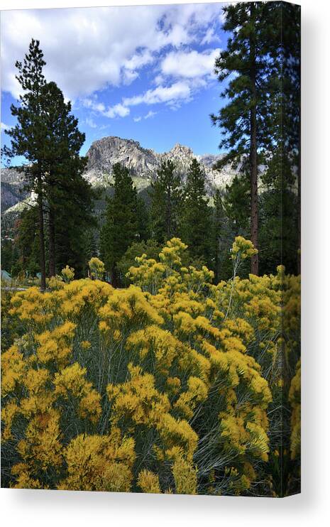 Humboldt-toiyabe National Forest Canvas Print featuring the photograph Natural Area Beneath Mt. Charleston by Ray Mathis