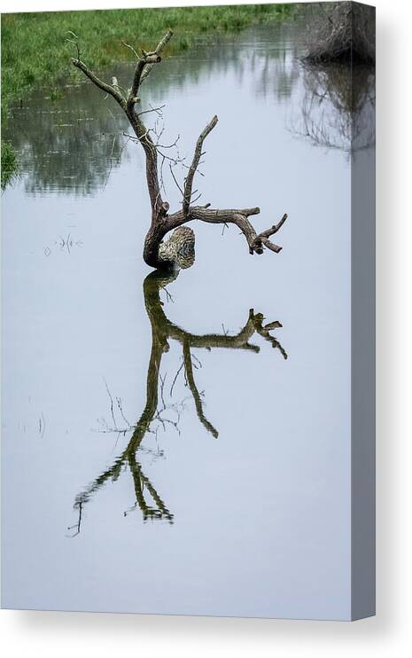 Natural Mirror Canvas Print featuring the photograph Natural Mirror by Debra Martz