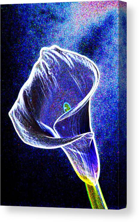 Neon Canvas Print featuring the photograph neon Calla lilly by Gary Brandes