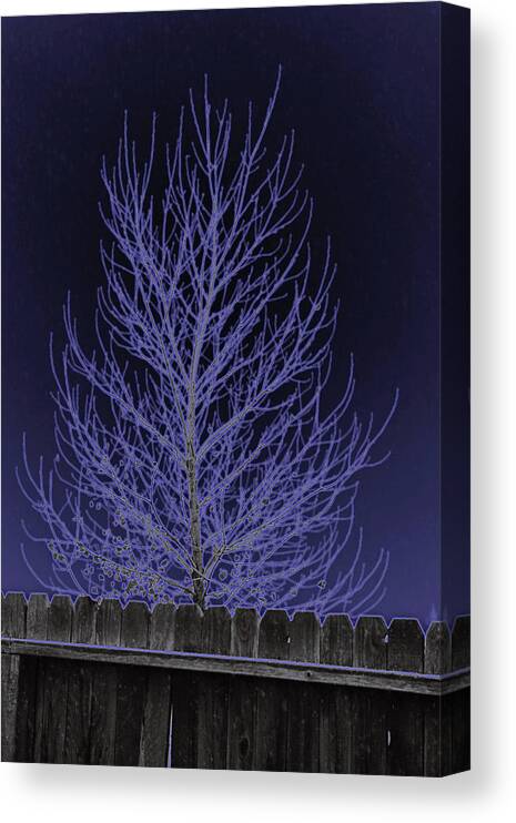 Neon Canvas Print featuring the photograph Neon Tree by Charles Benavidez