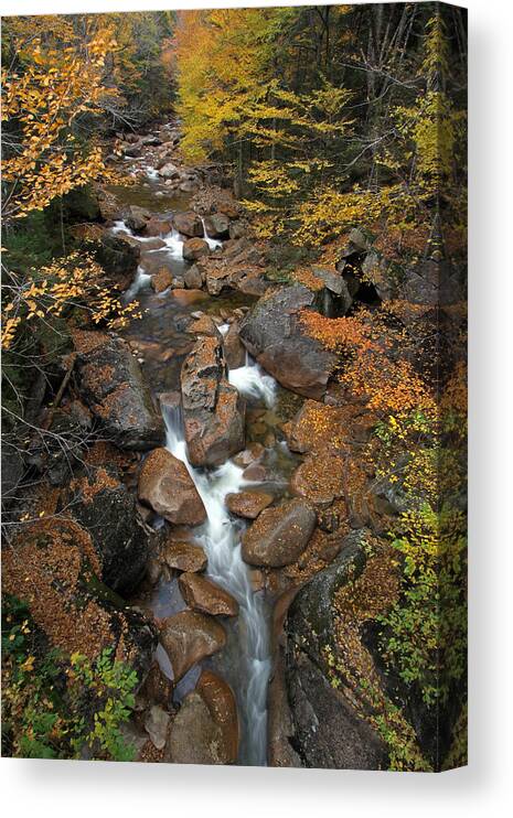 Liberty Gorge Canvas Print featuring the photograph New Hampshire Liberty Gorge by Juergen Roth