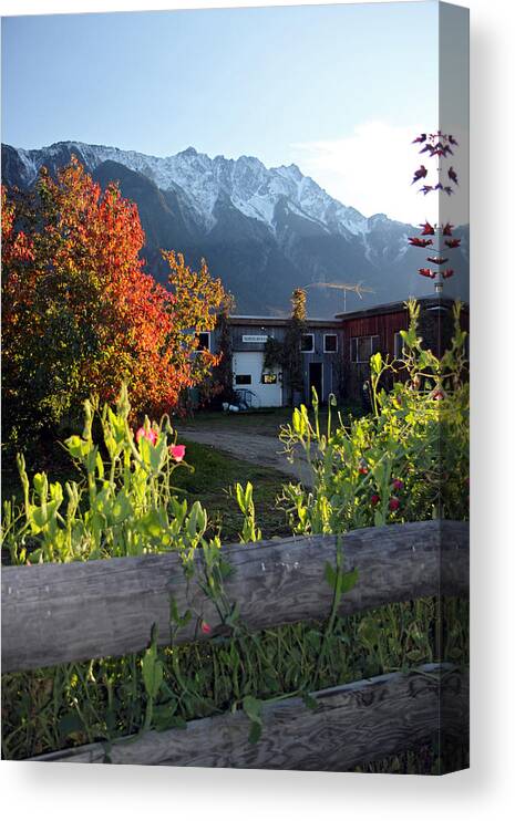 North Arm Farm Canvas Print featuring the photograph North Arm Farm in autumn by Pierre Leclerc Photography