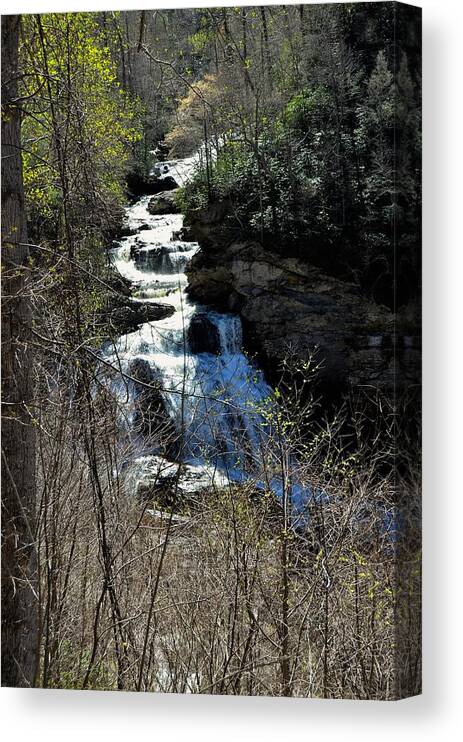 Waterfall Canvas Print featuring the photograph North Carolina Falls by Chuck Brown