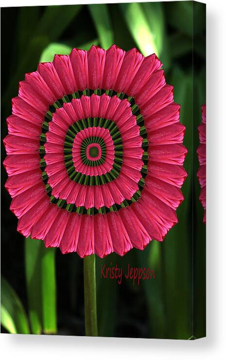 Tulip Canvas Print featuring the photograph Tulip K1 by Kristy Jeppson