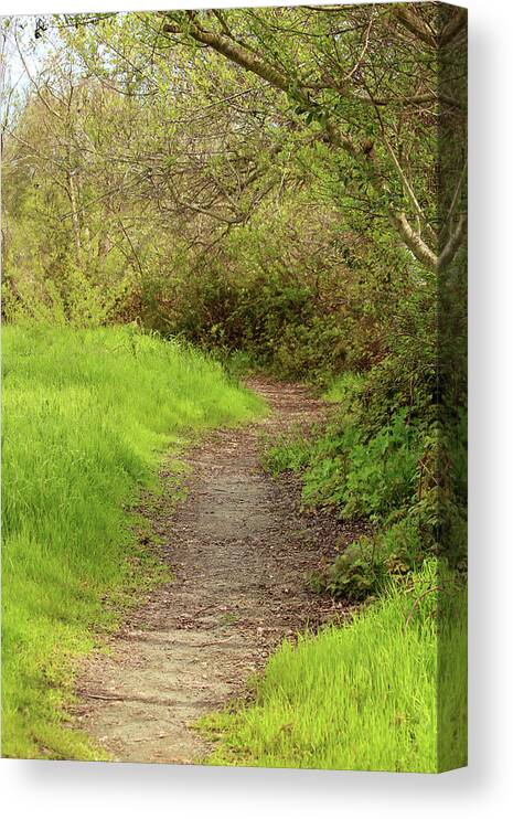 Oceano Canvas Print featuring the photograph Oceano Lagoon Trail by Art Block Collections