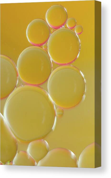 Water Canvas Print featuring the photograph Oil bubbles on water abstract by Andy Myatt