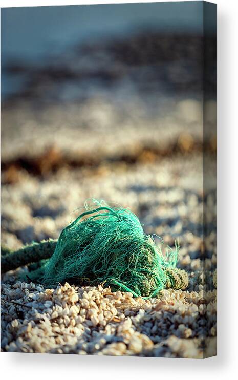 Beach Canvas Print featuring the photograph Old Rope by the beach by Mike Santis