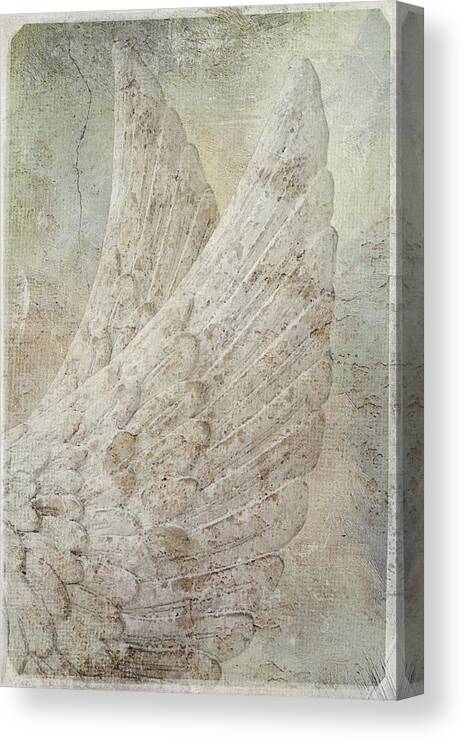 Angel Canvas Print featuring the photograph On Angels Wings by Jill Love
