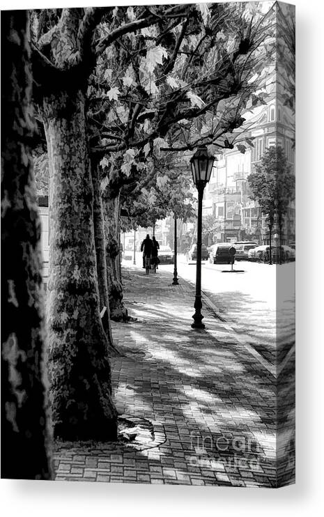 Germany Walkways Strasse Trees Parks Canvas Print featuring the photograph On the Strasse by Rick Bragan