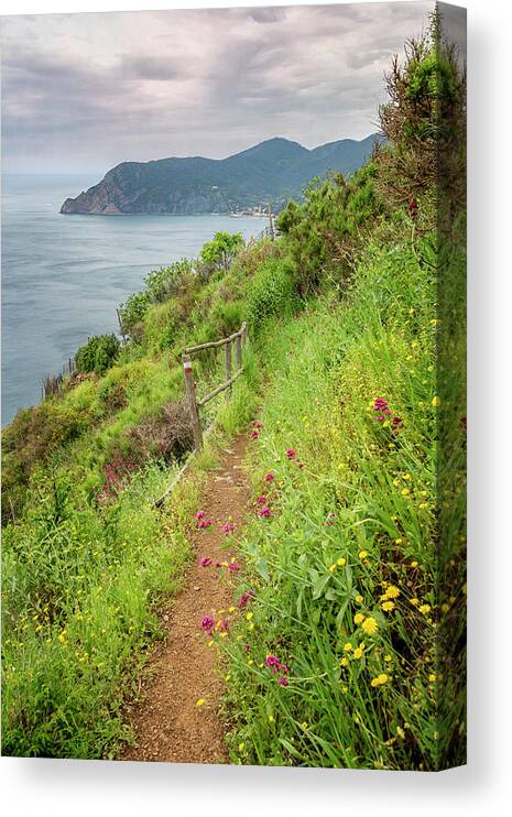 Joan Carroll Canvas Print featuring the photograph On the Trail to Vernazza Cinque Terre Italy by Joan Carroll
